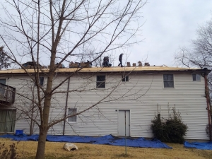 Marshall's Roofing & Contracting - Dayton, MD